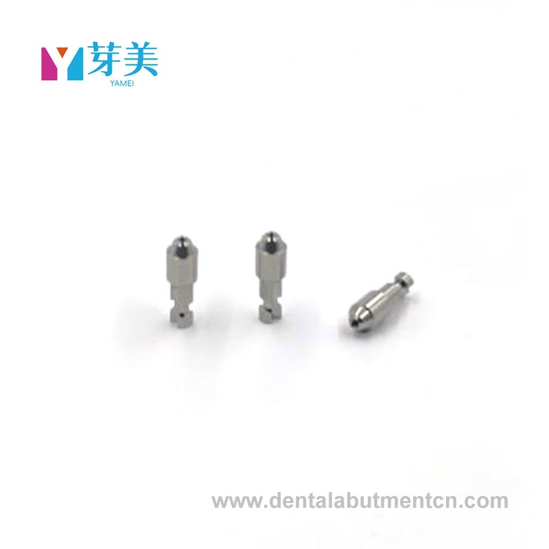 Implant Abutment